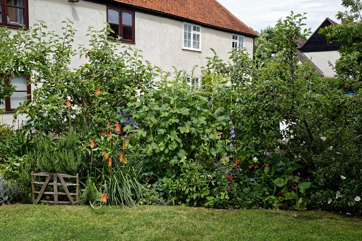 Cottage garden flower border